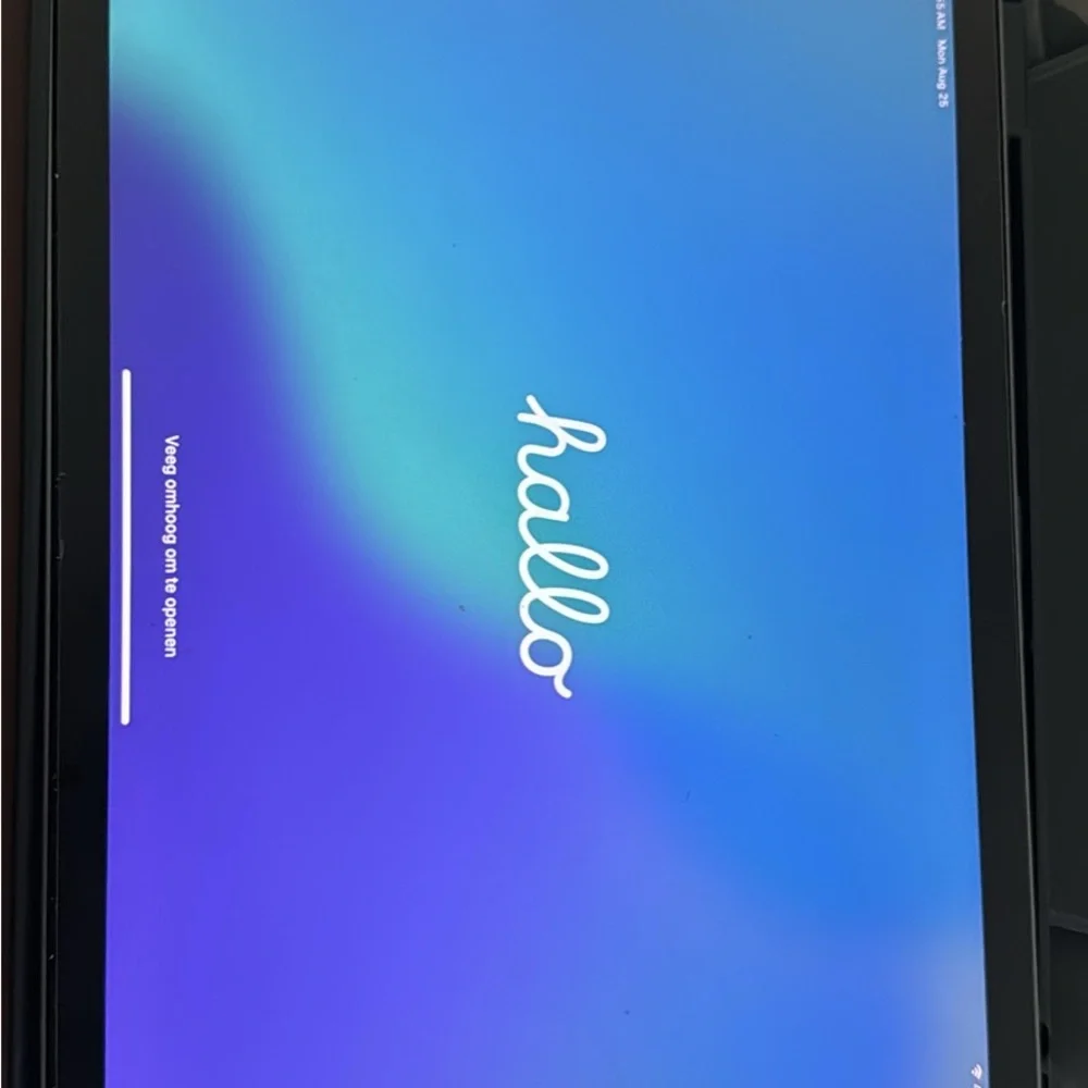 Apple iPad - Sleek Gray Finish